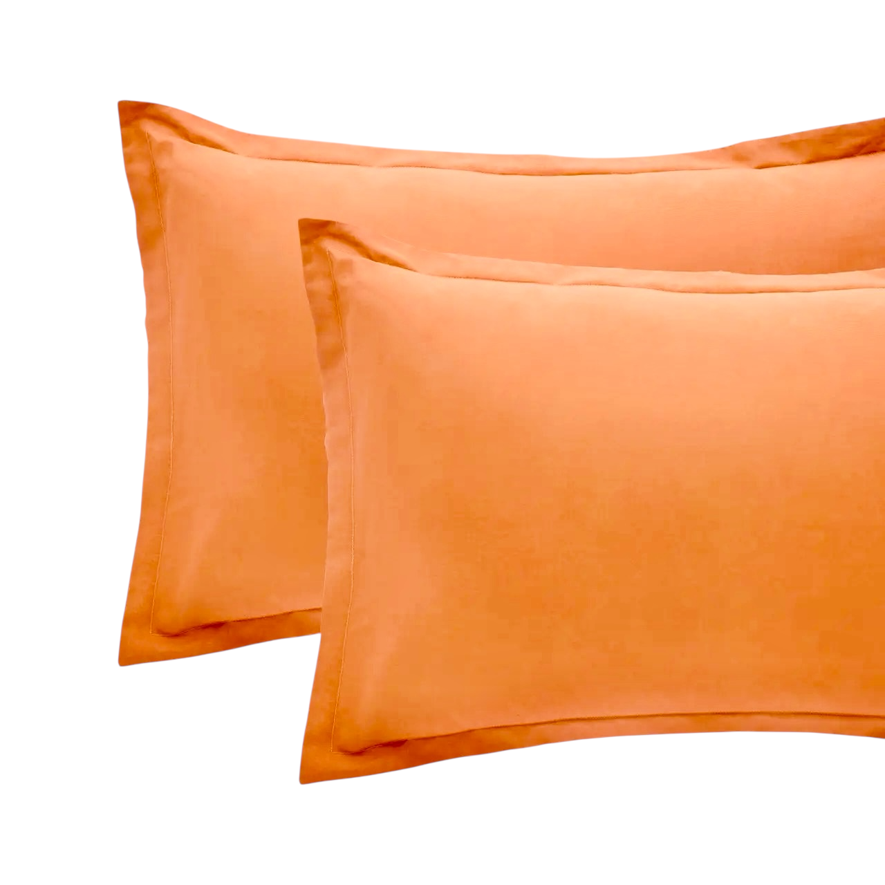 Coppie Federe in Cotone Paint Riviera