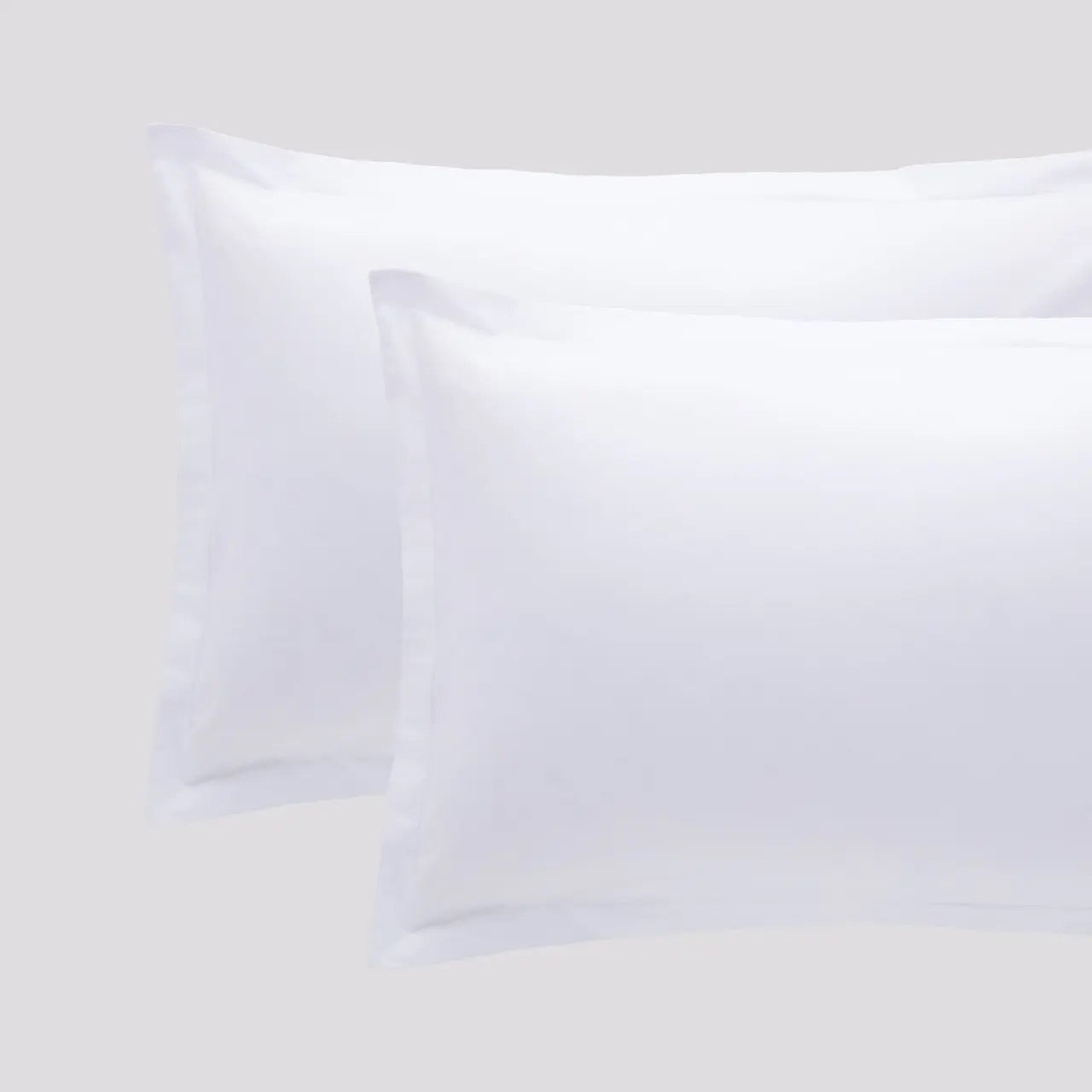 Coppie Federe in Cotone Paint Riviera