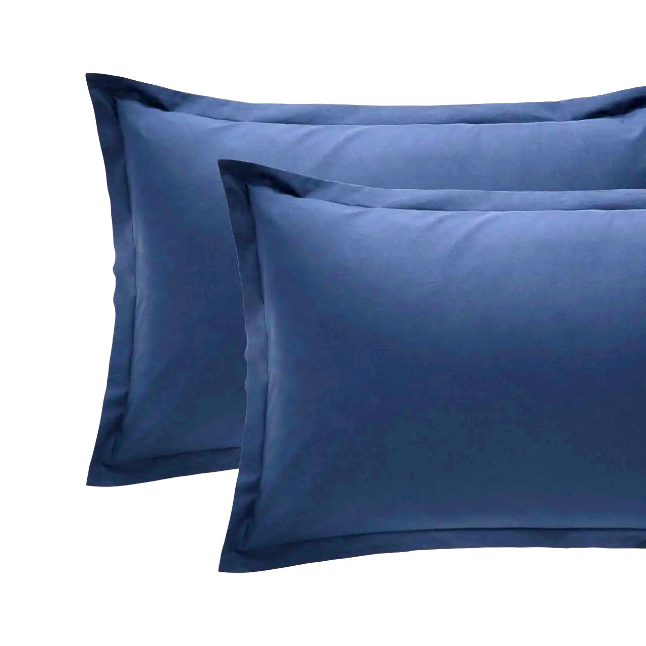 Coppie Federe in Cotone Paint Riviera