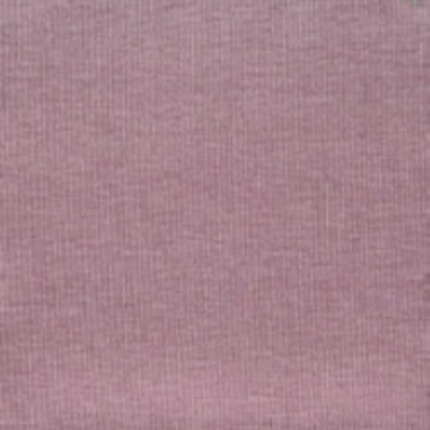 Trapunta Matrimoniale Blumarine Sunday