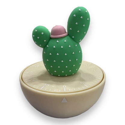 Timer Cucina Cactus Brandani