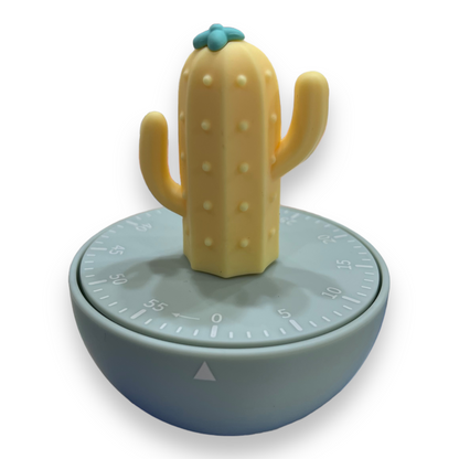 Timer Cucina Cactus Brandani