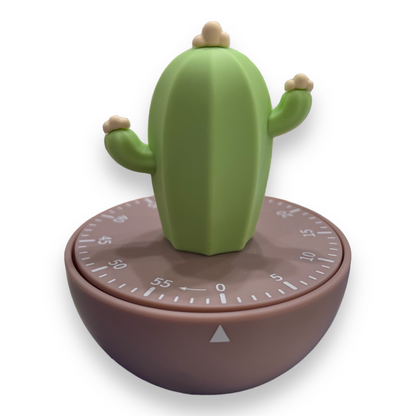 Timer Cucina Cactus Brandani