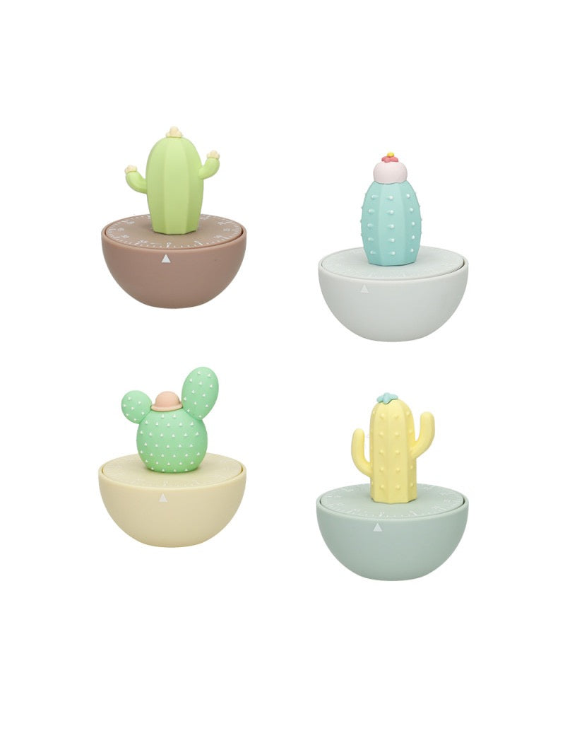 Timer Cucina Cactus Brandani