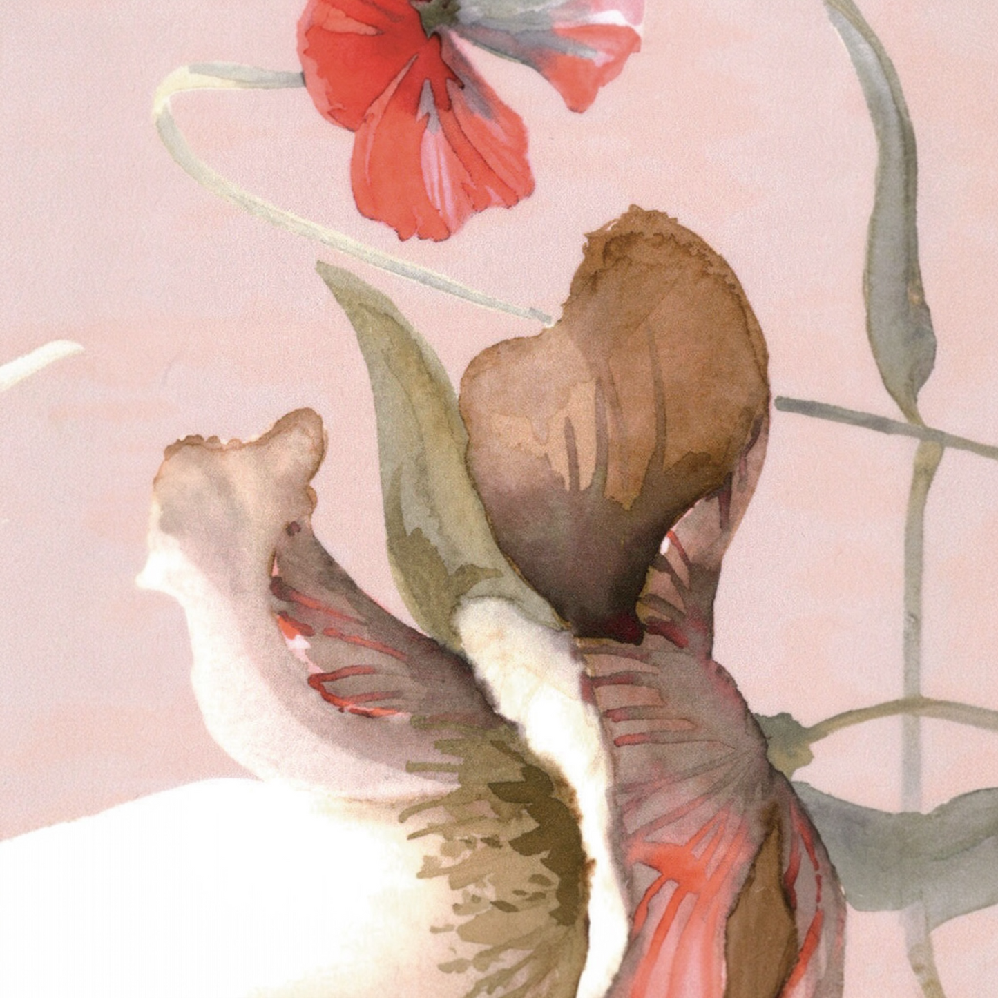 Trapunta Matrimoniale Blumarine Fleurette