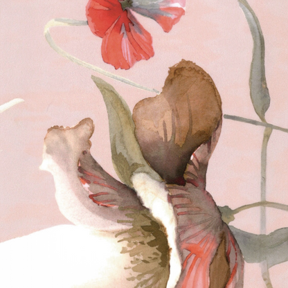 Trapunta Matrimoniale Blumarine Fleurette