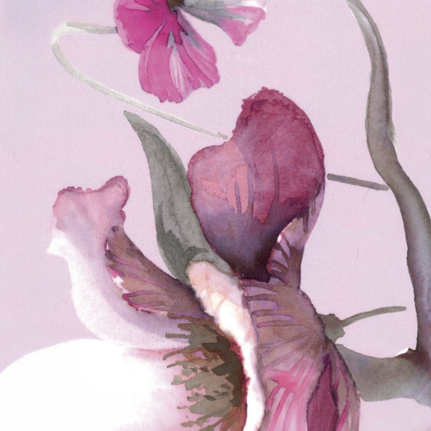 Trapunta Matrimoniale Blumarine Fleurette