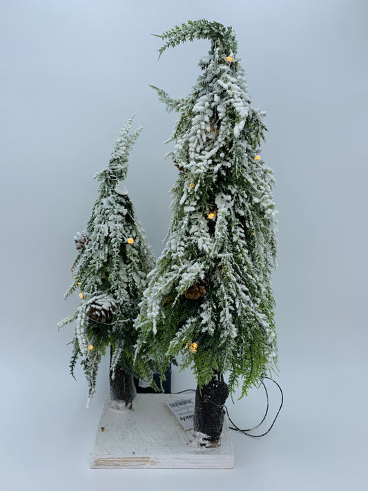 COPPIA ALBERI INNEVATI CON LED - DINO BIANCHI
